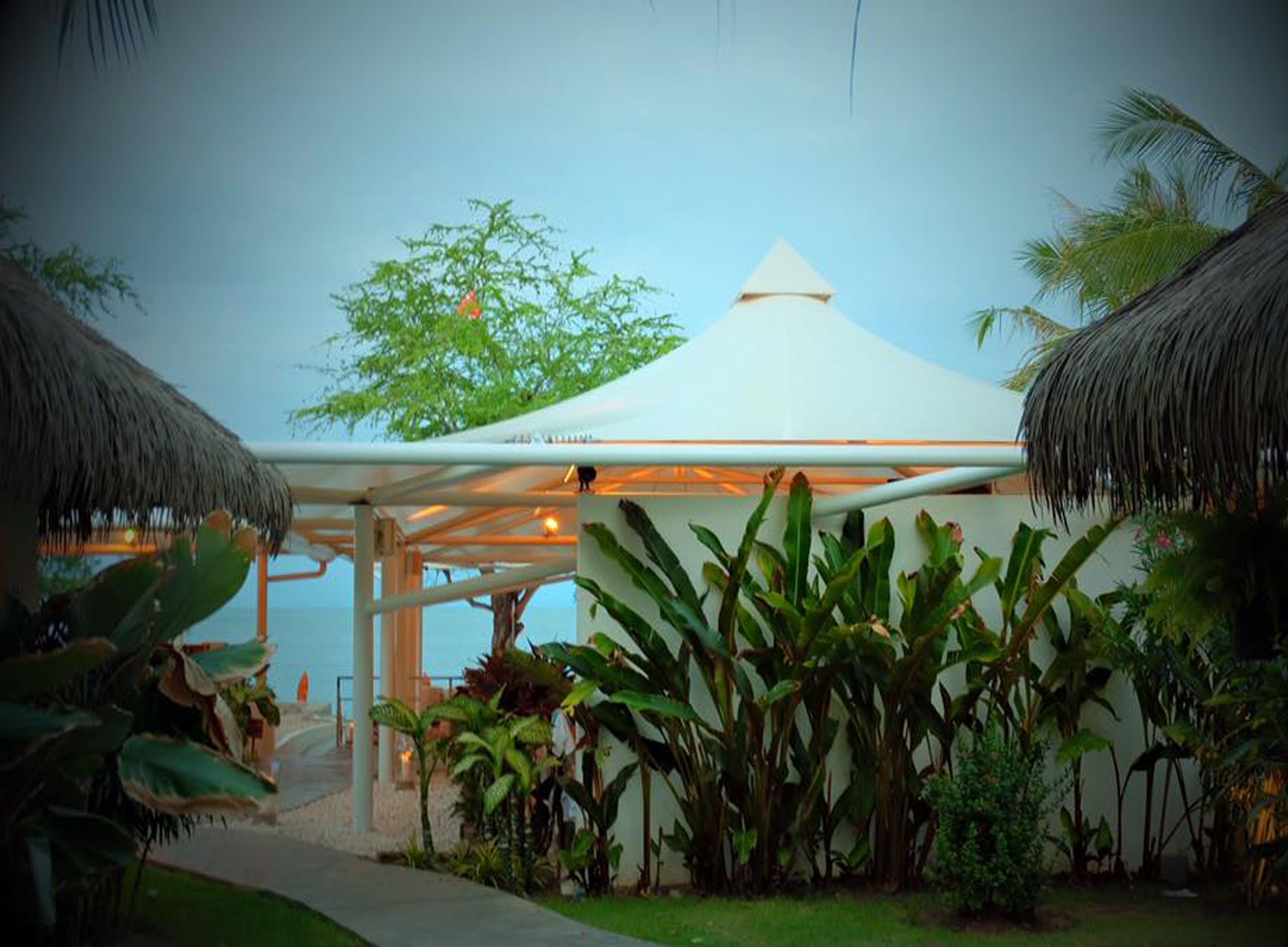 pet room friendly | view from room