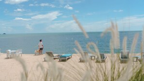 Une plage avec des chaises longues blanches et une personne accompagnée d’un chien.