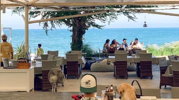 Σερβίρεται πρωινό, μεσημεριανό με διεθνής κουζίνα και θέα στην παραλία