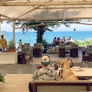 Se sirven desayunos, comidas y cocina internacional con vista a la playa