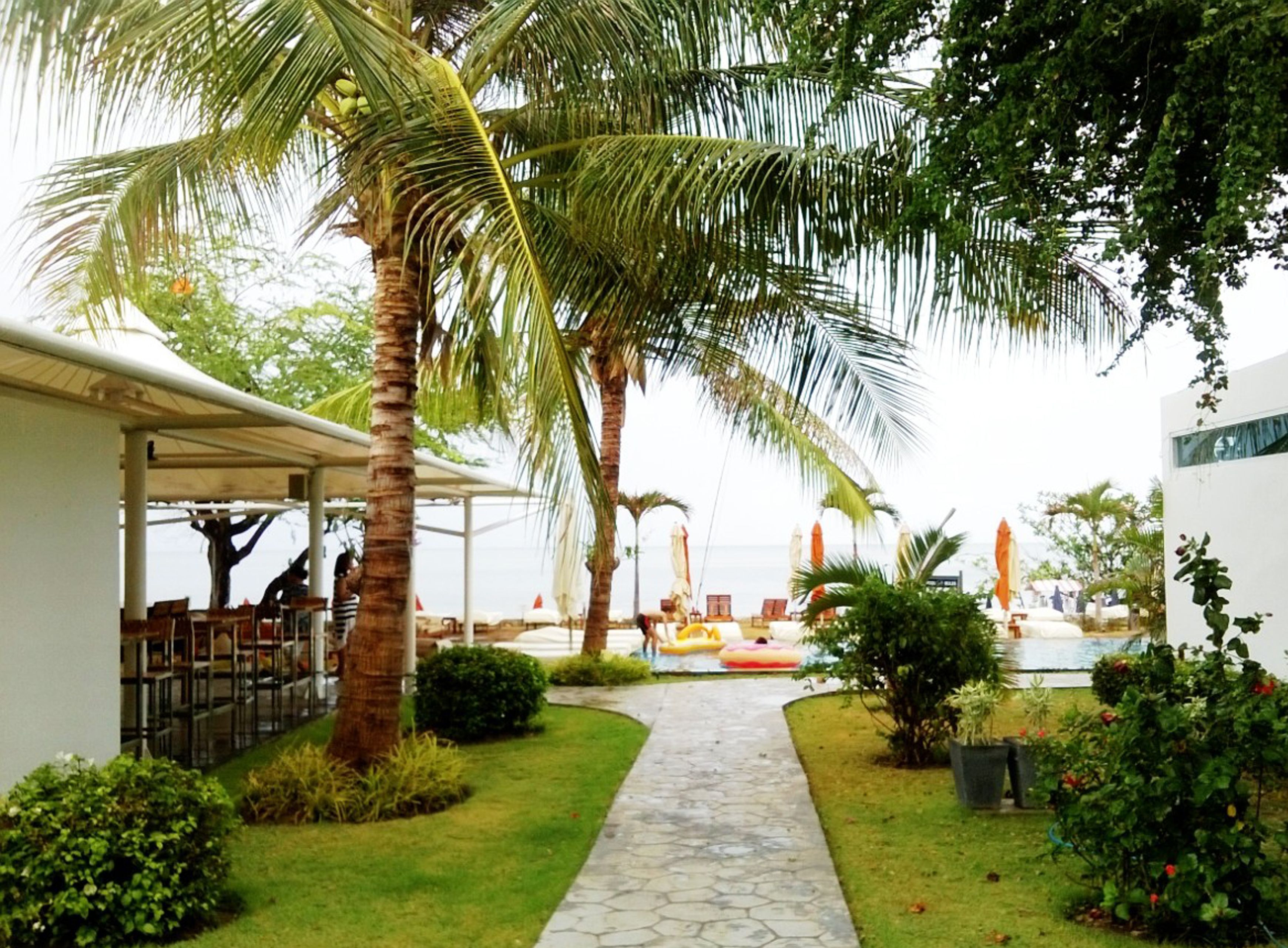 Kamar Deluks | Pemandangan dari kamar