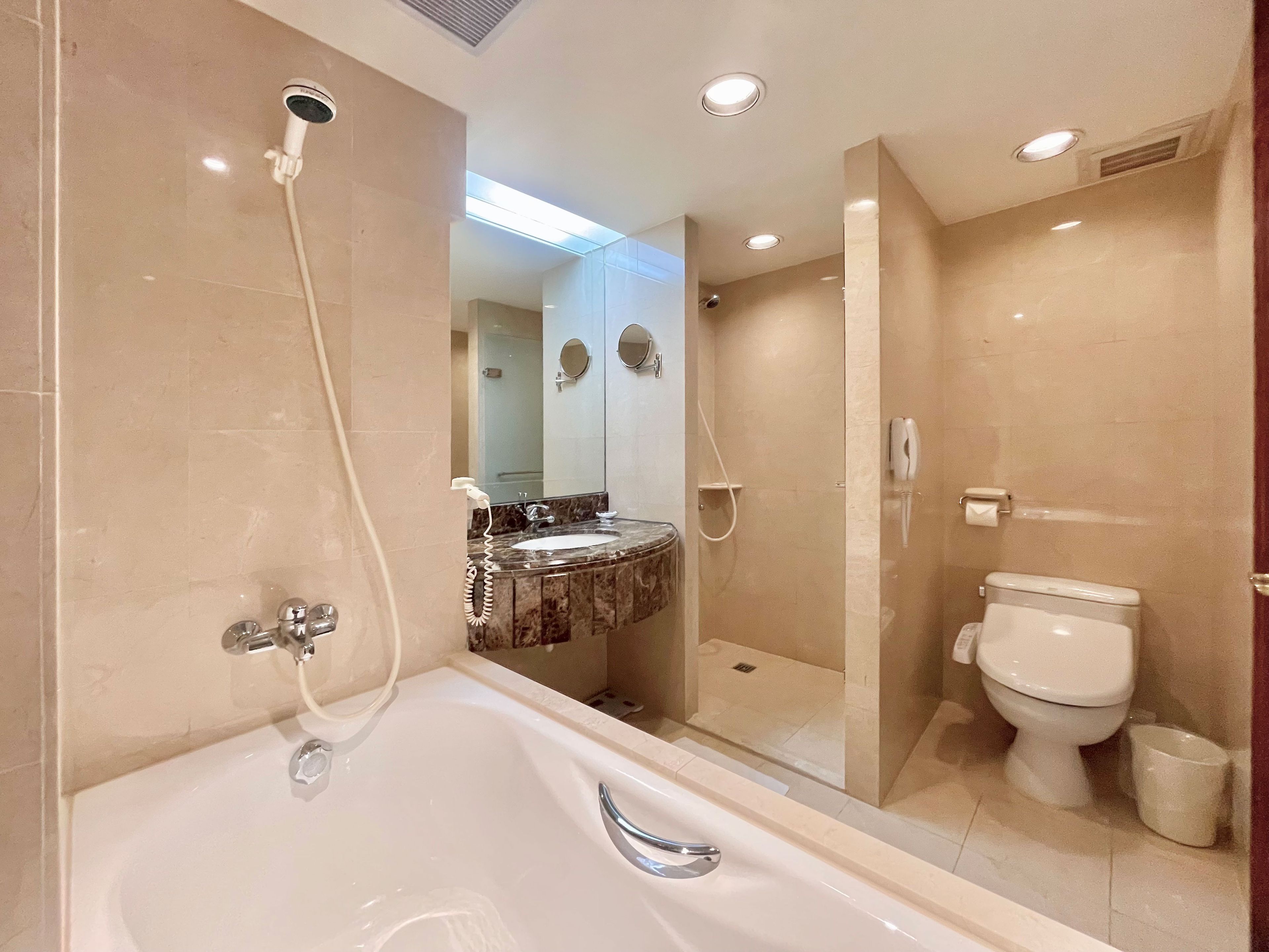 A modern bathroom with a bathtub, a shower, a toilet, and a vanity with a mirror.