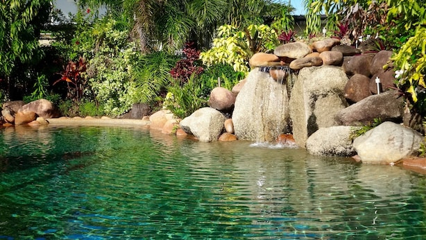 A clear pool with a waterfall feature surrounded by rocks and lush greenery.