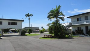 A parking lot with a building labeled "IGA" and a palm tree.
