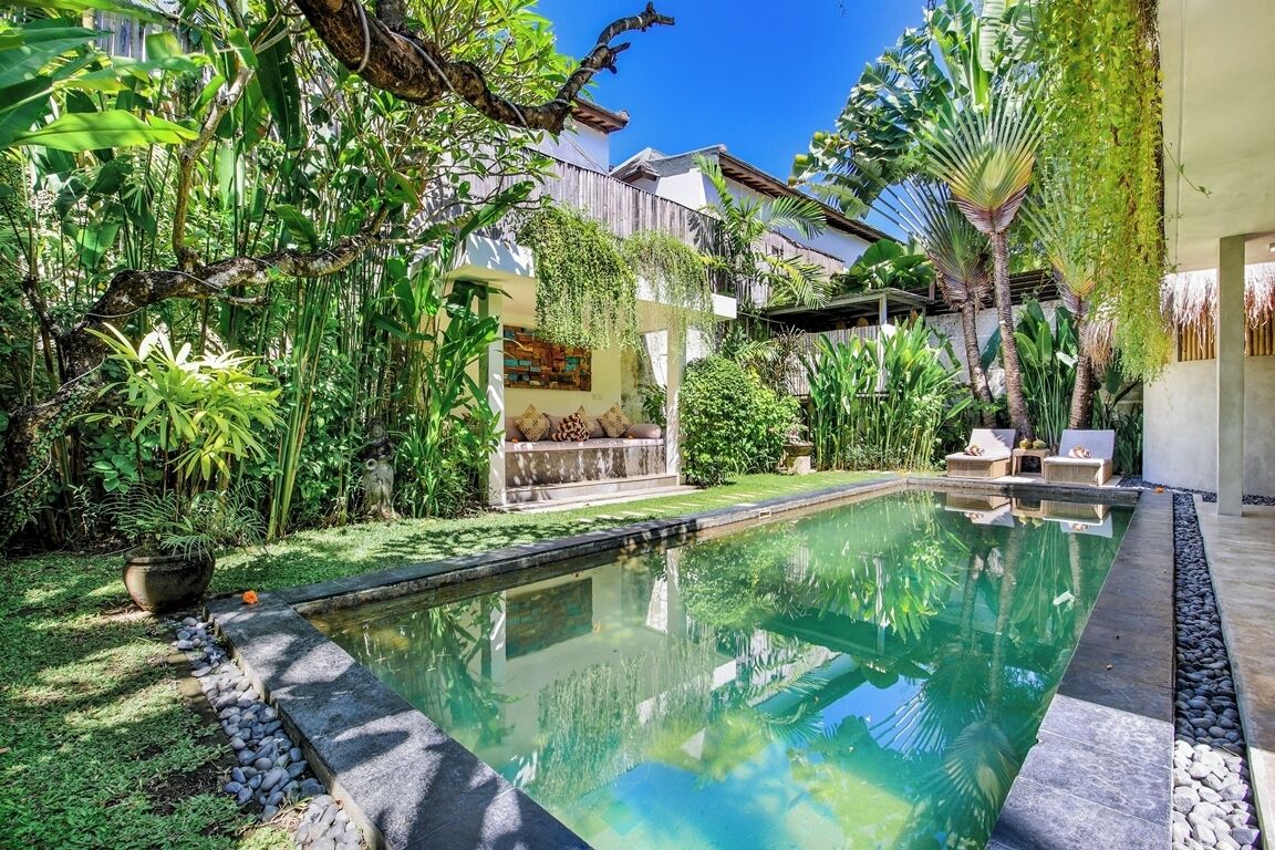 A swimming pool surrounded by lush greenery and a stone pathway.