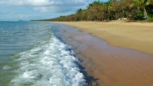 Ein Strand mit sandigem Ufer und Palmen.