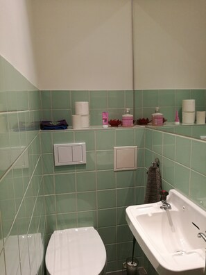Dusche, Haartrockner, Bademäntel, Hausschuhe