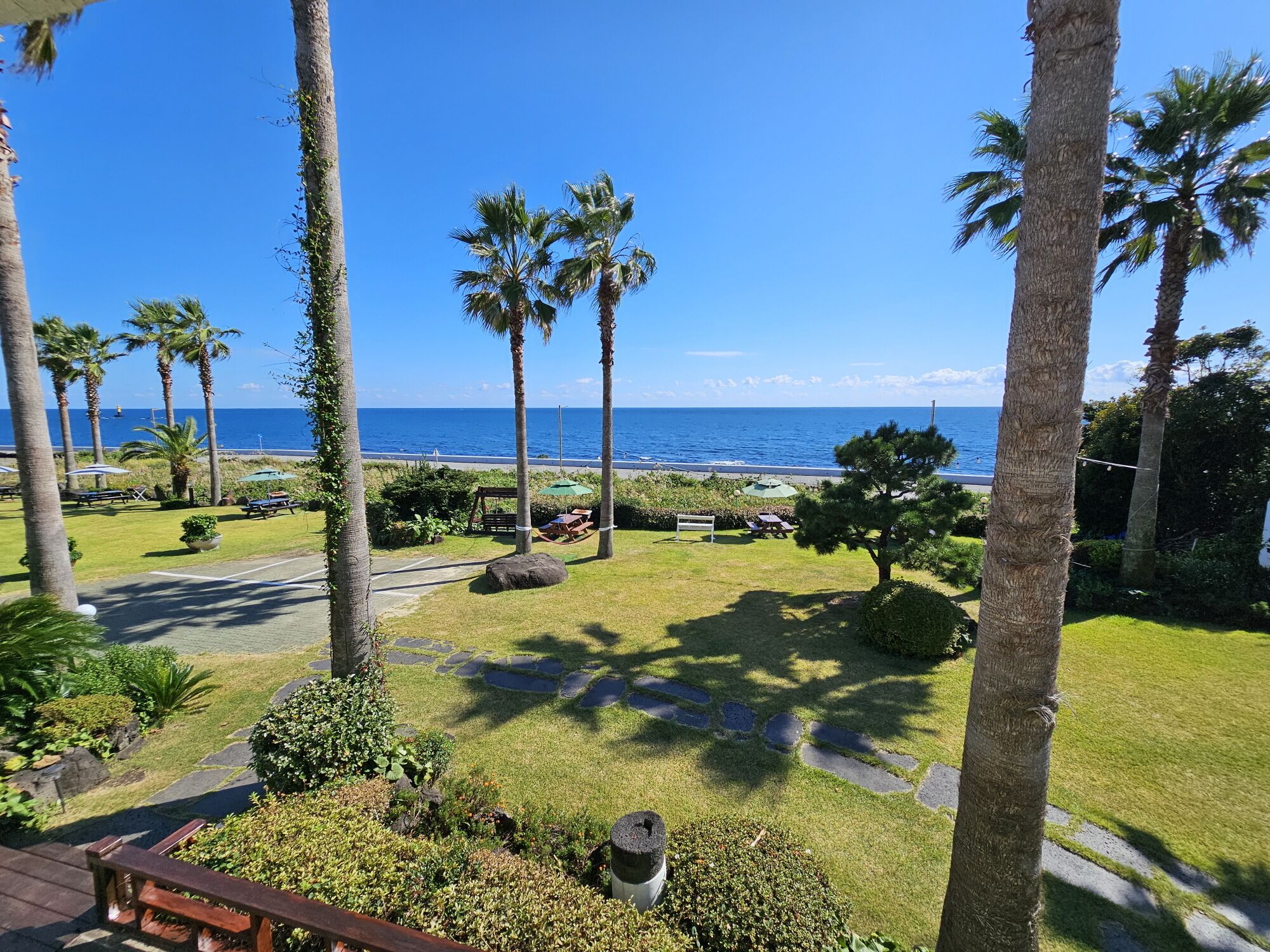 Un jardín ajardinado con palmeras, un sendero y vista al océano.