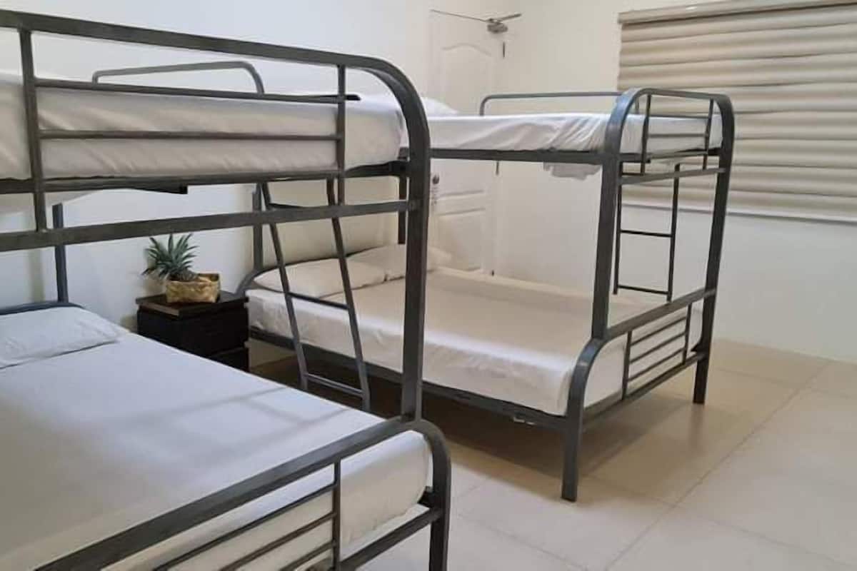 A bunk bed room with a small table and a plant.