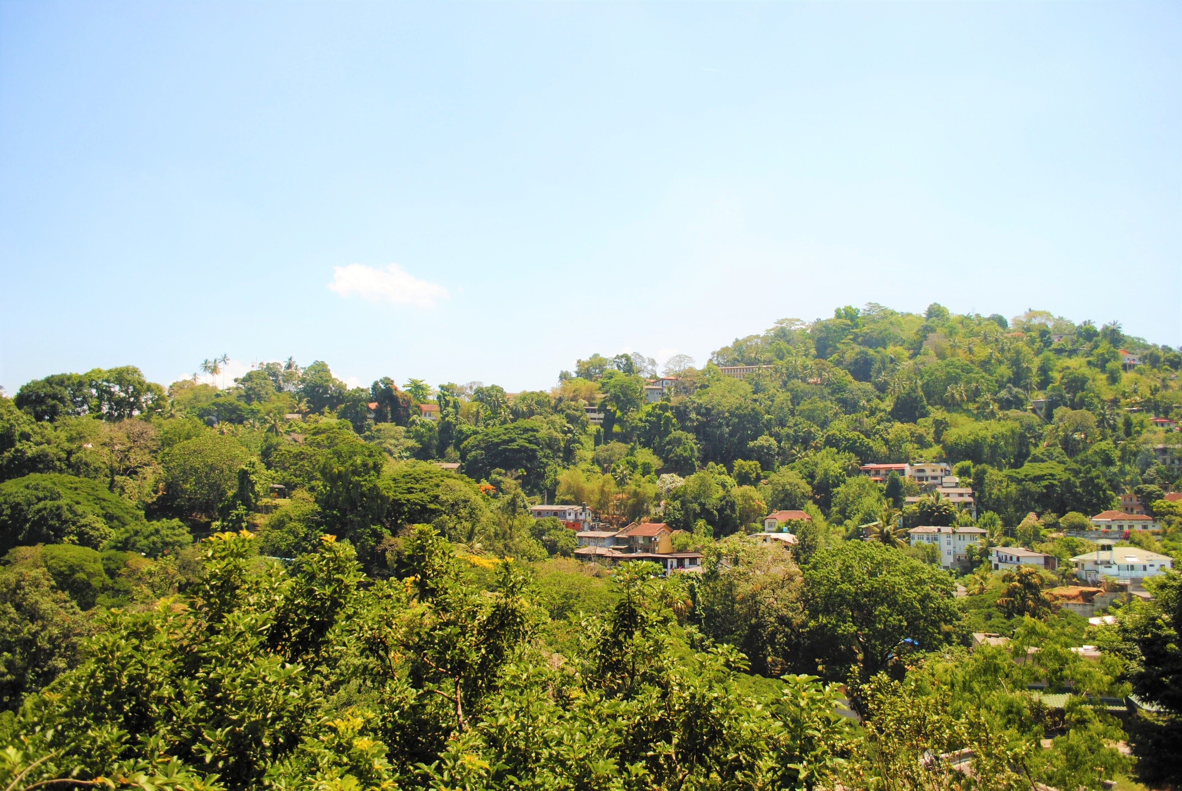 Foto - Hotel Yo Kandy