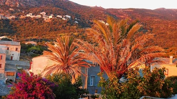 Dreibettzimmer | Ausblick vom Zimmer