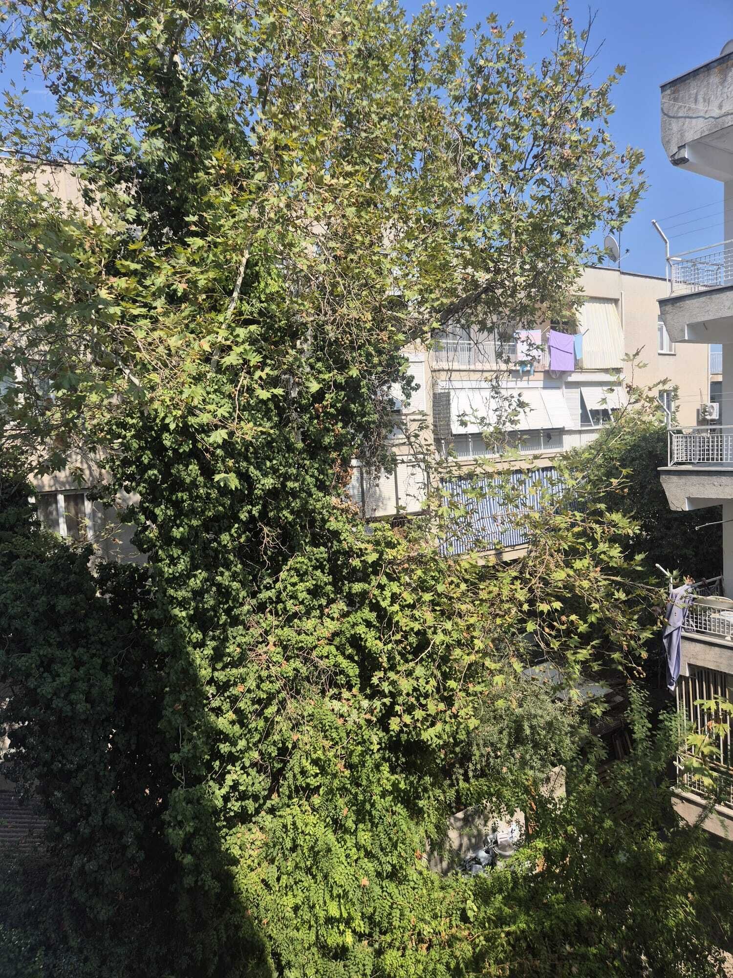 Zona residencial con abundante vegetación y un edificio con balcón.