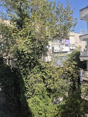 Zona residencial con abundante vegetación y un edificio con balcón.