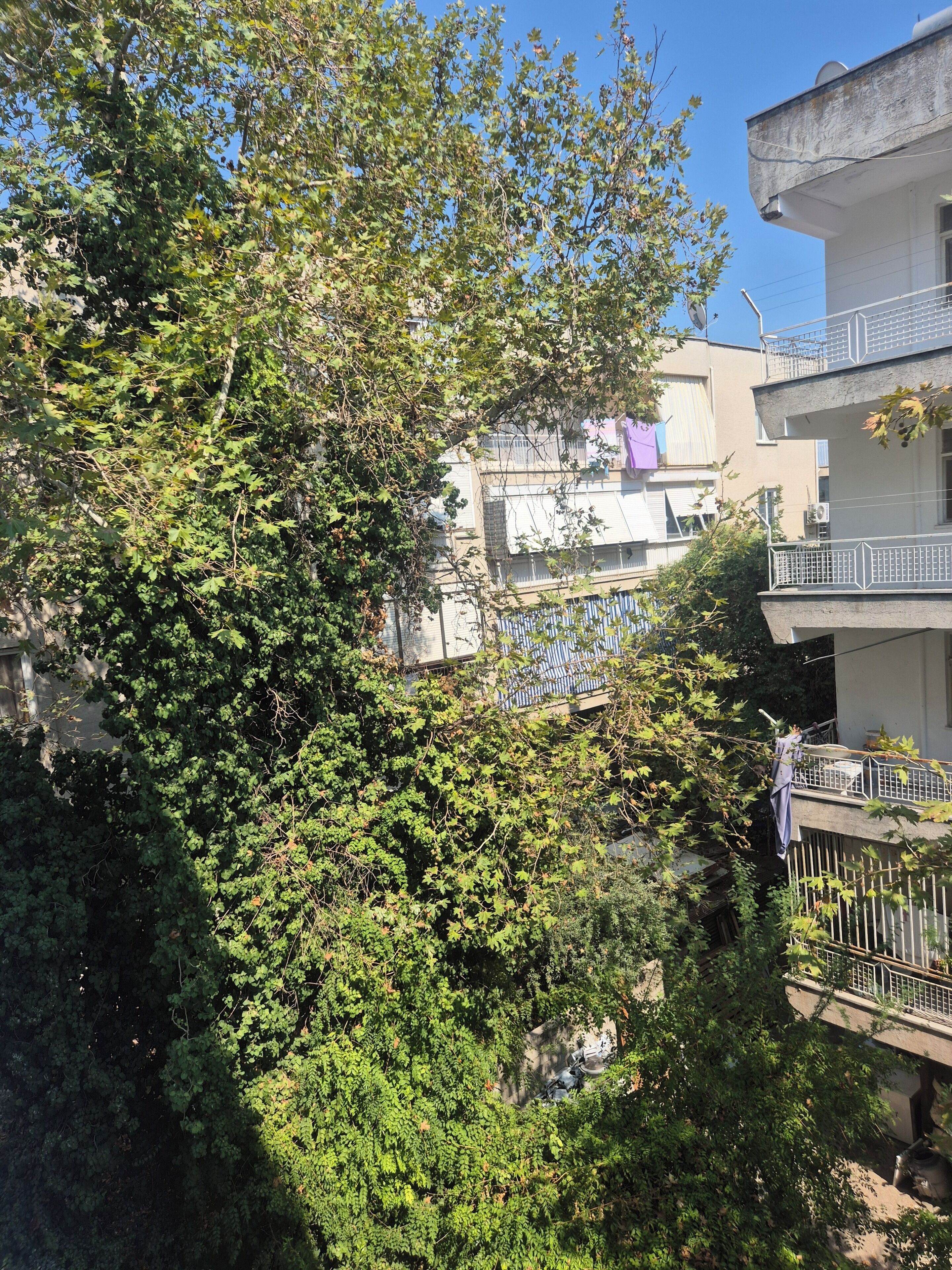 Una zona residencial con edificios de varios pisos, follaje denso y un balcón con barandilla.
