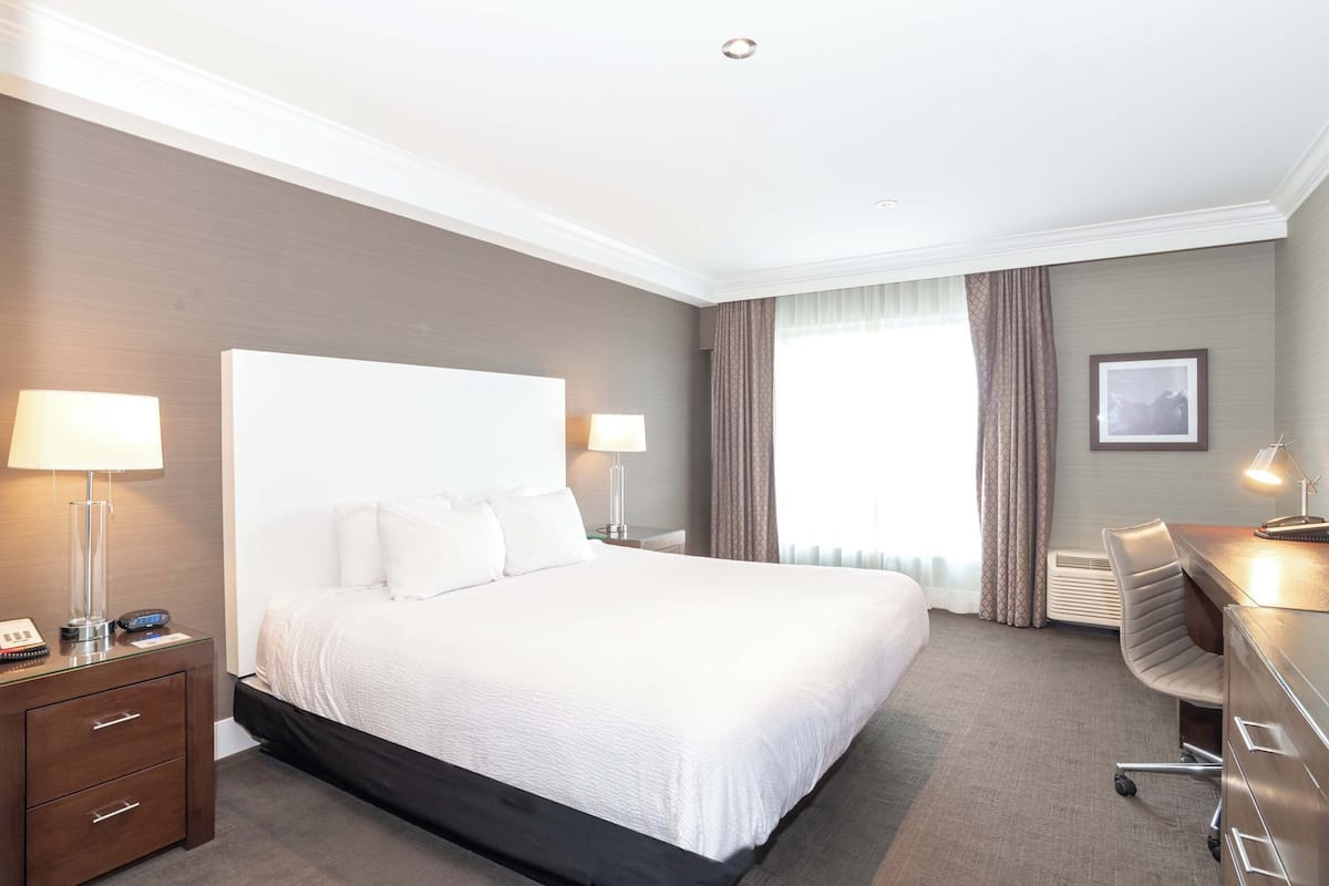 Standard Room, 1 King Bed | In-room safe, blackout drapes, iron/ironing board, free WiFi