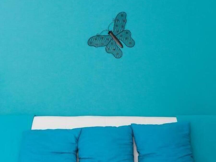 Una habitación con pared verde azulada, sofá blanco y cojines azules, y un adhesivo con forma de mariposa.