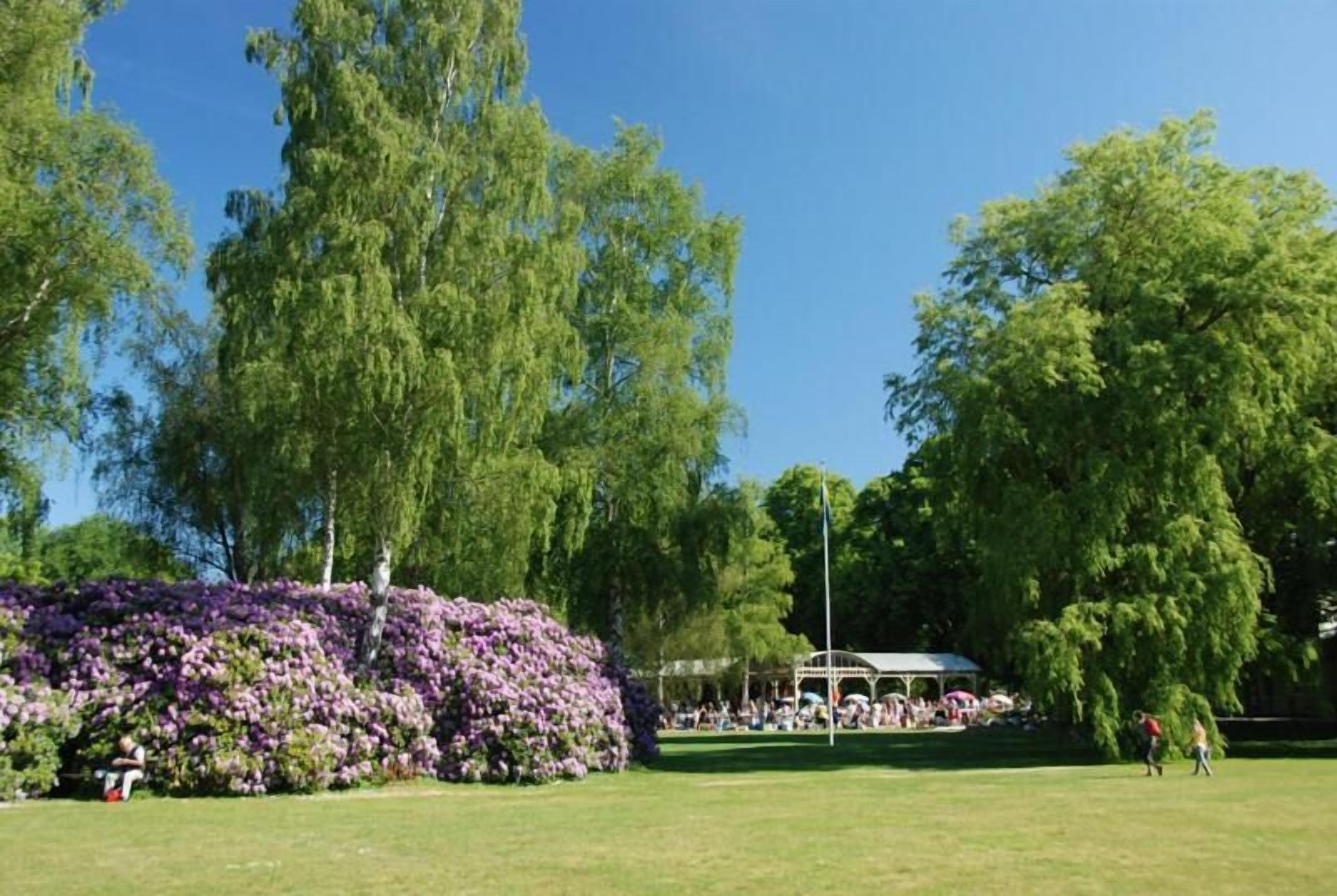 A park with a large tree, a flower bed, and a gazebo.
