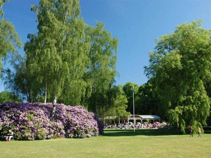 A park with a large tree, a flower bed, and a gazebo.