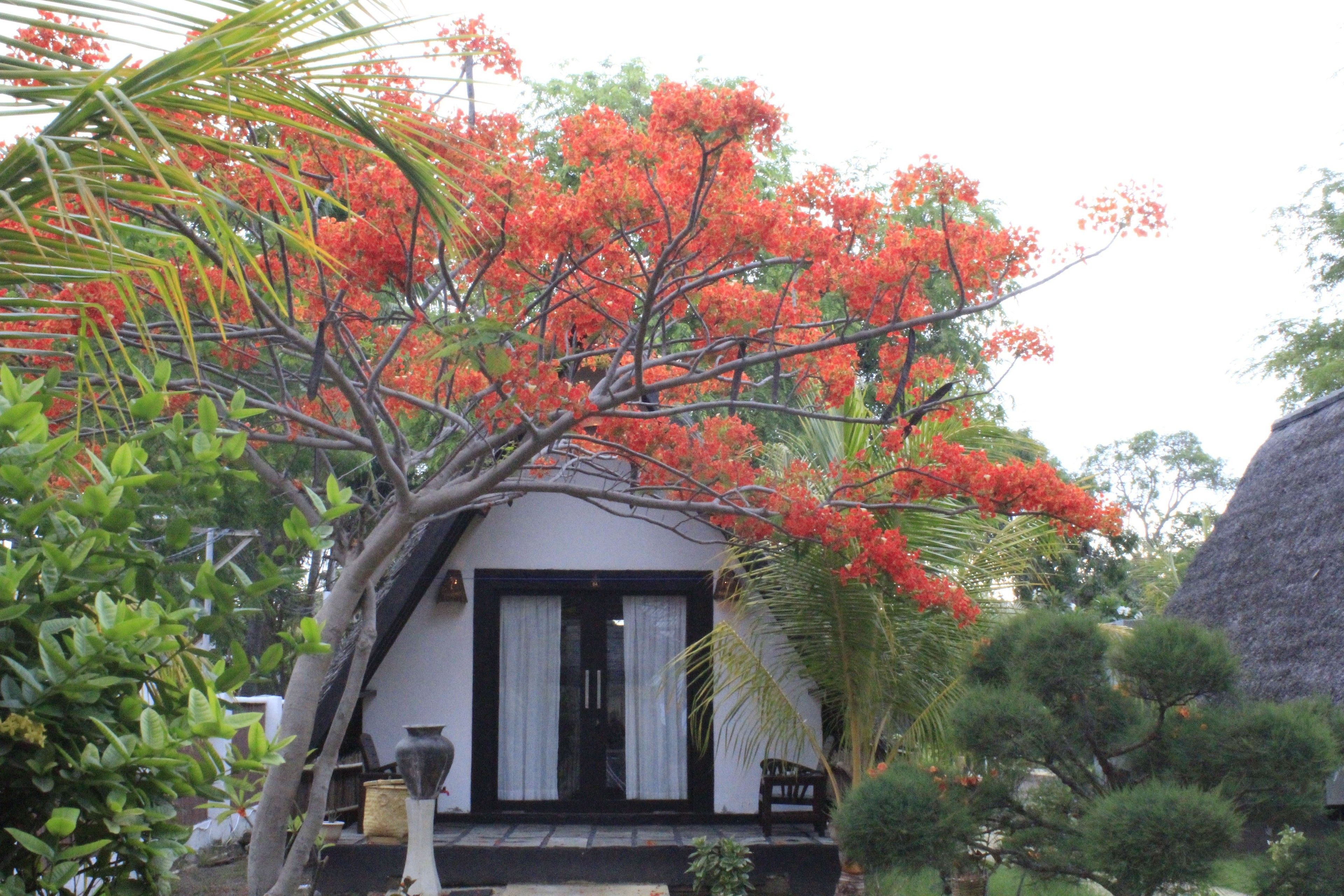 Foto - Kaluku Gili Resort