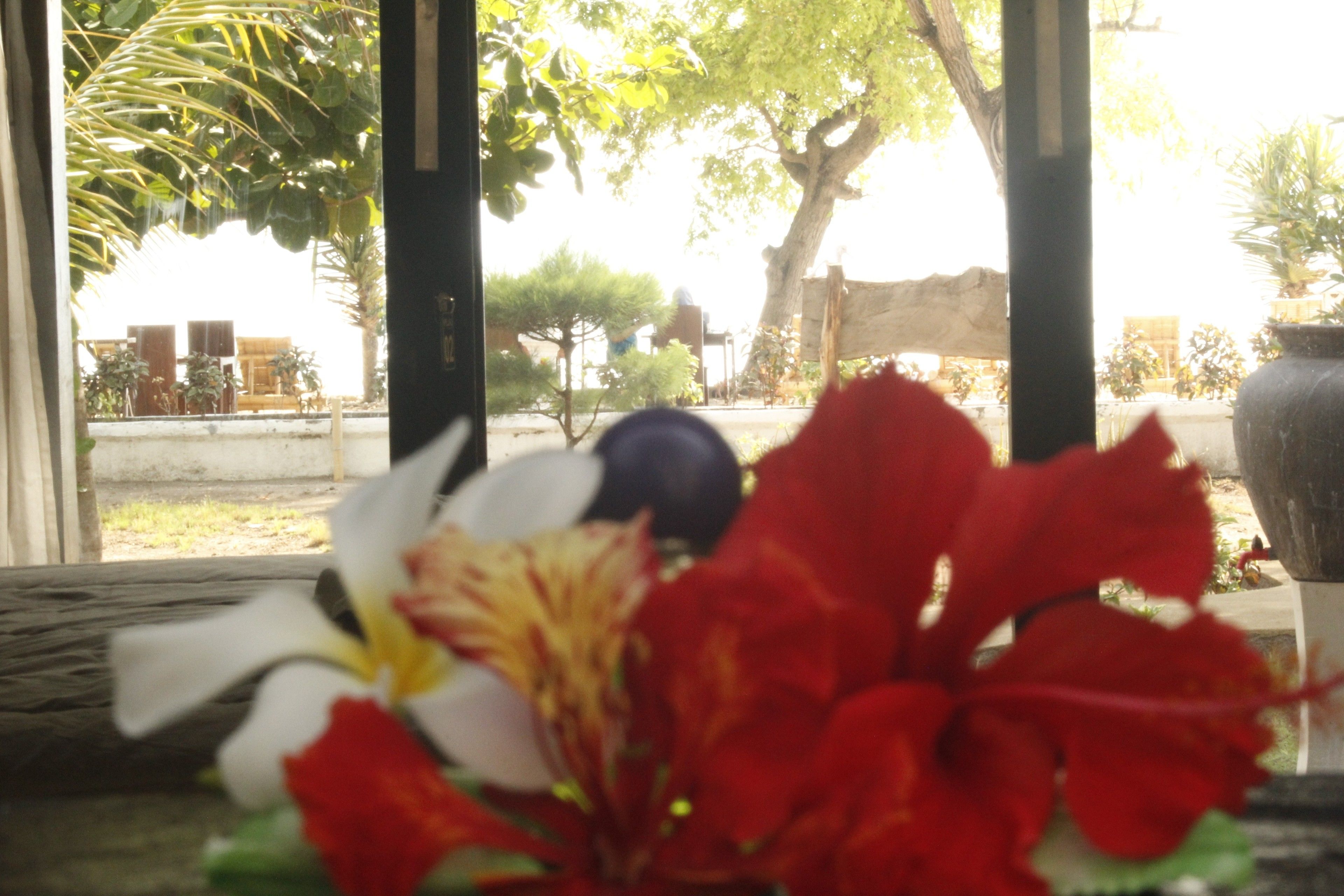 Foto - Kaluku Gili Resort