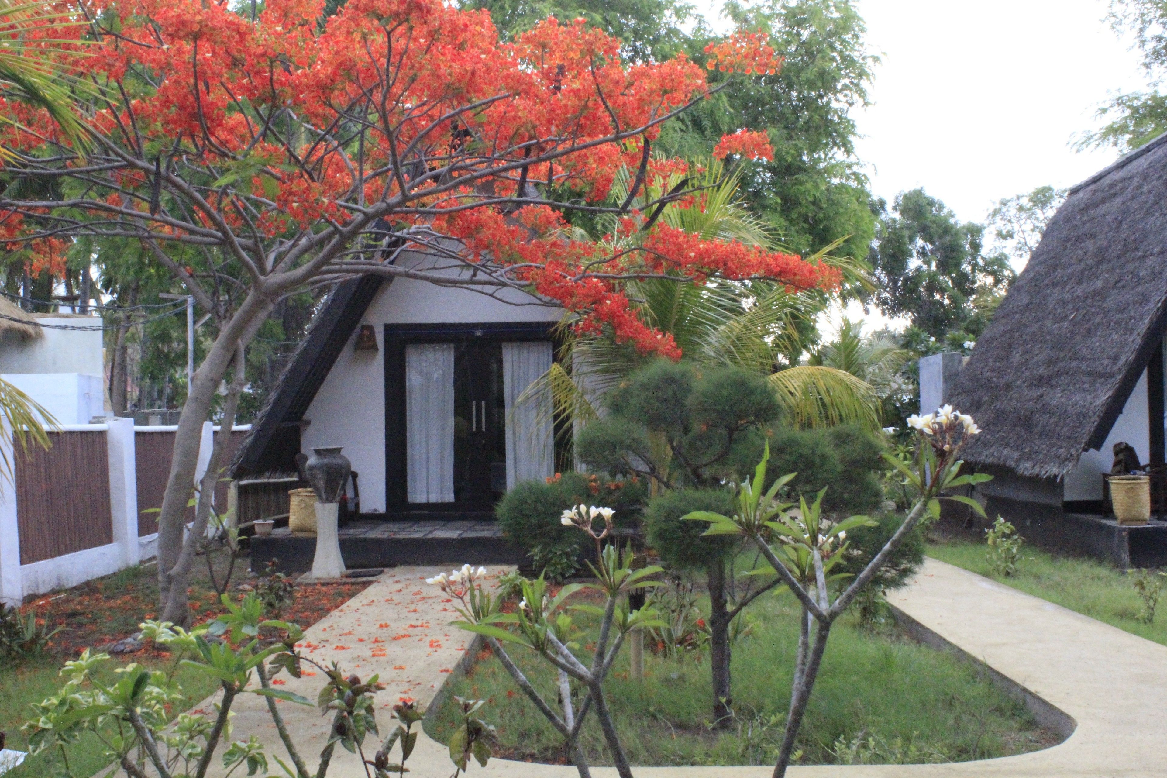 Foto - Kaluku Gili Resort