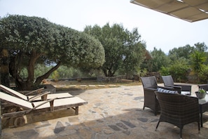 An outdoor patio with stone flooring, lounge chairs, wicker furniture, and olive trees.