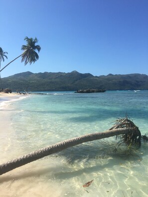 Una playa con agua turquesa cristalina, una palmera y una montaña al fondo.