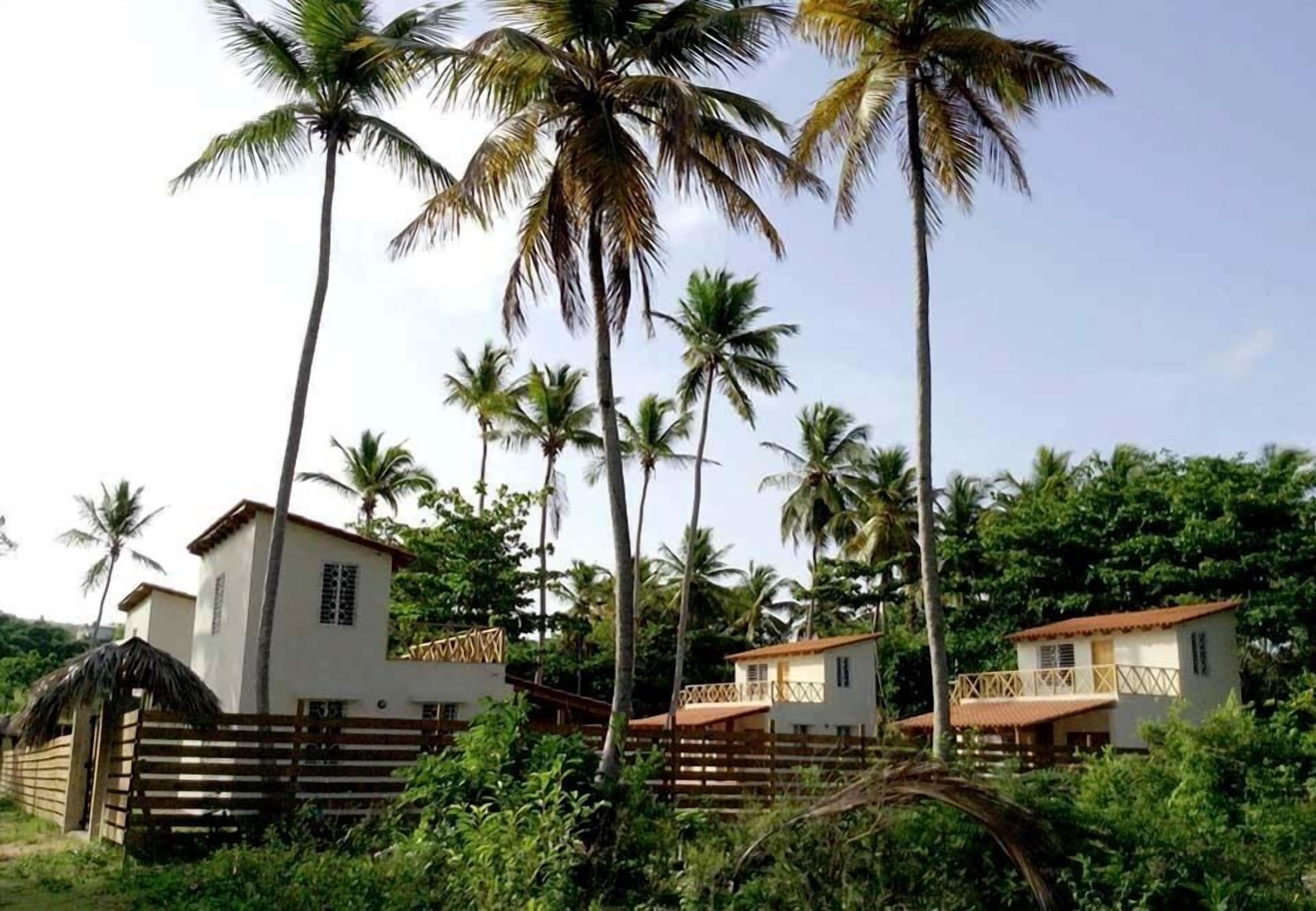 Un resort con varias edificaciones rodeado de palmeras.