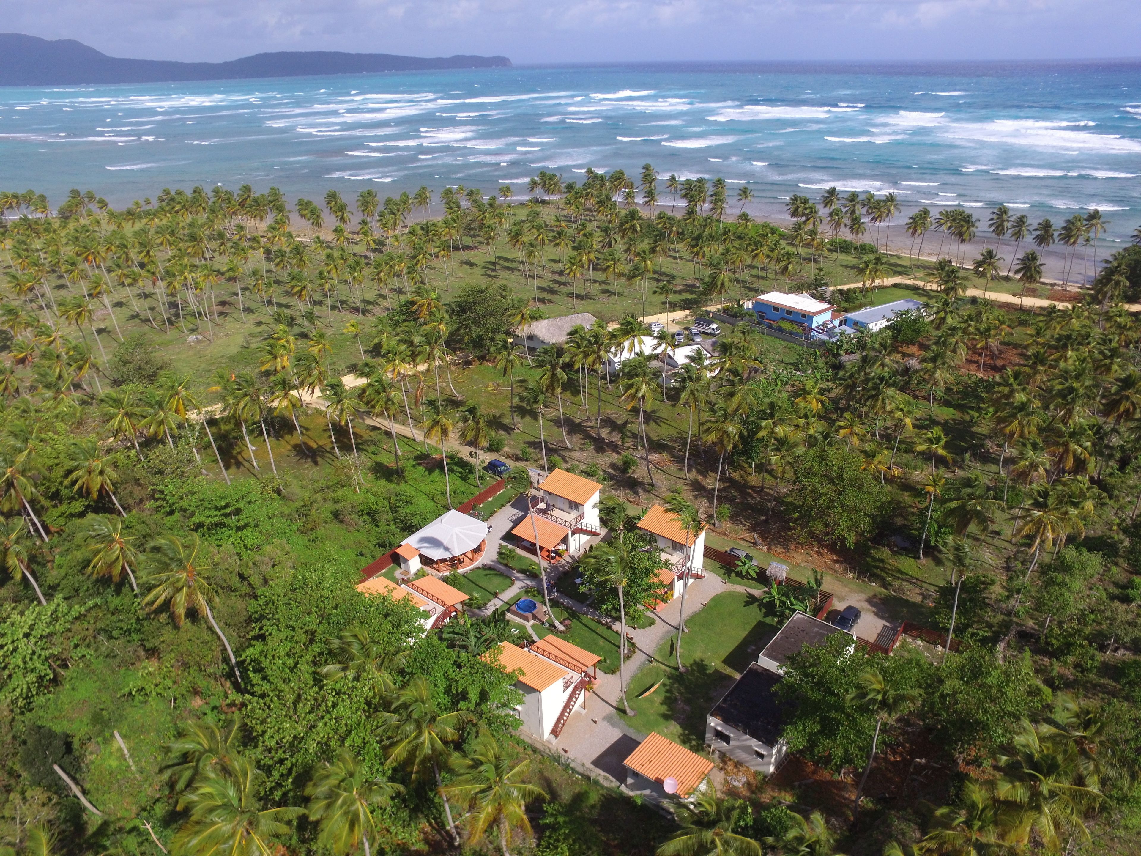 An aerial view of a coastal area with houses surrounded by palm trees, a beach, and the ocean.