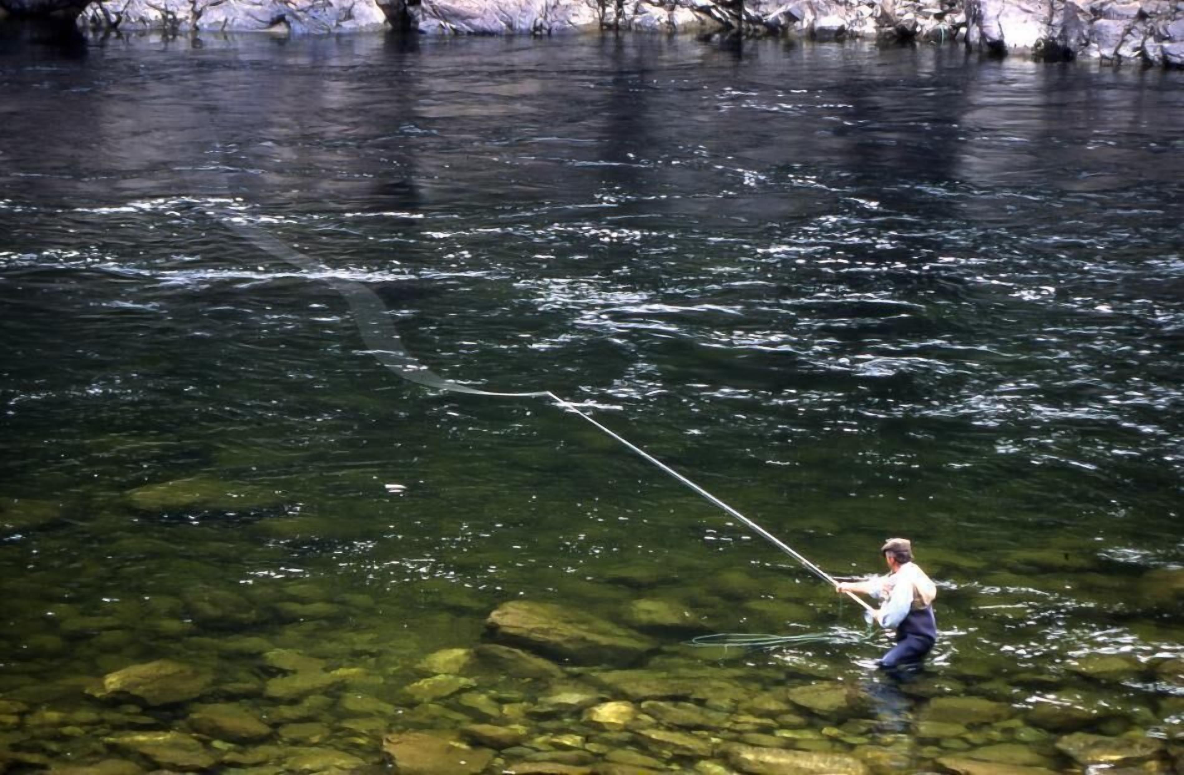 A person fishing in a clear river with visible rocks.