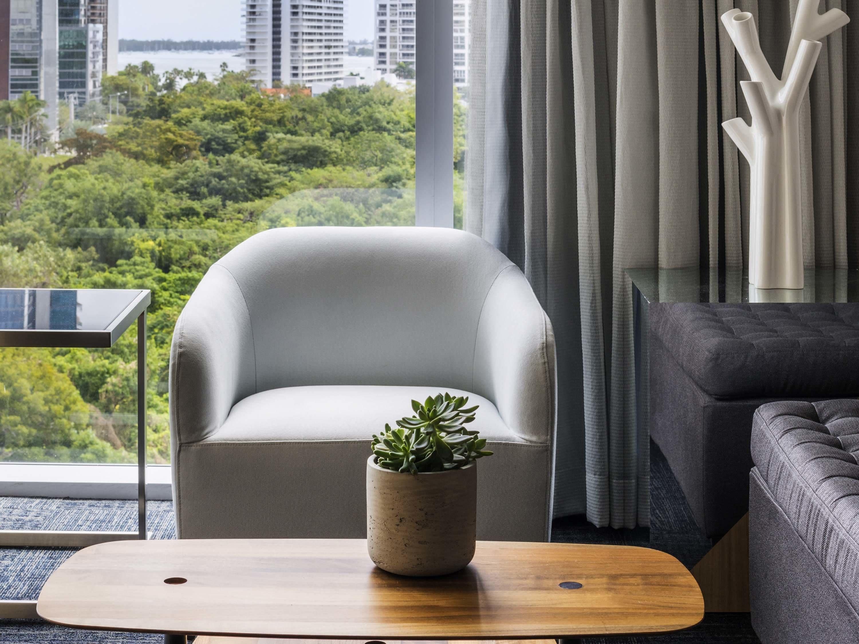 A modern living room with a grey armchair, a wooden coffee table, and a potted succulent.