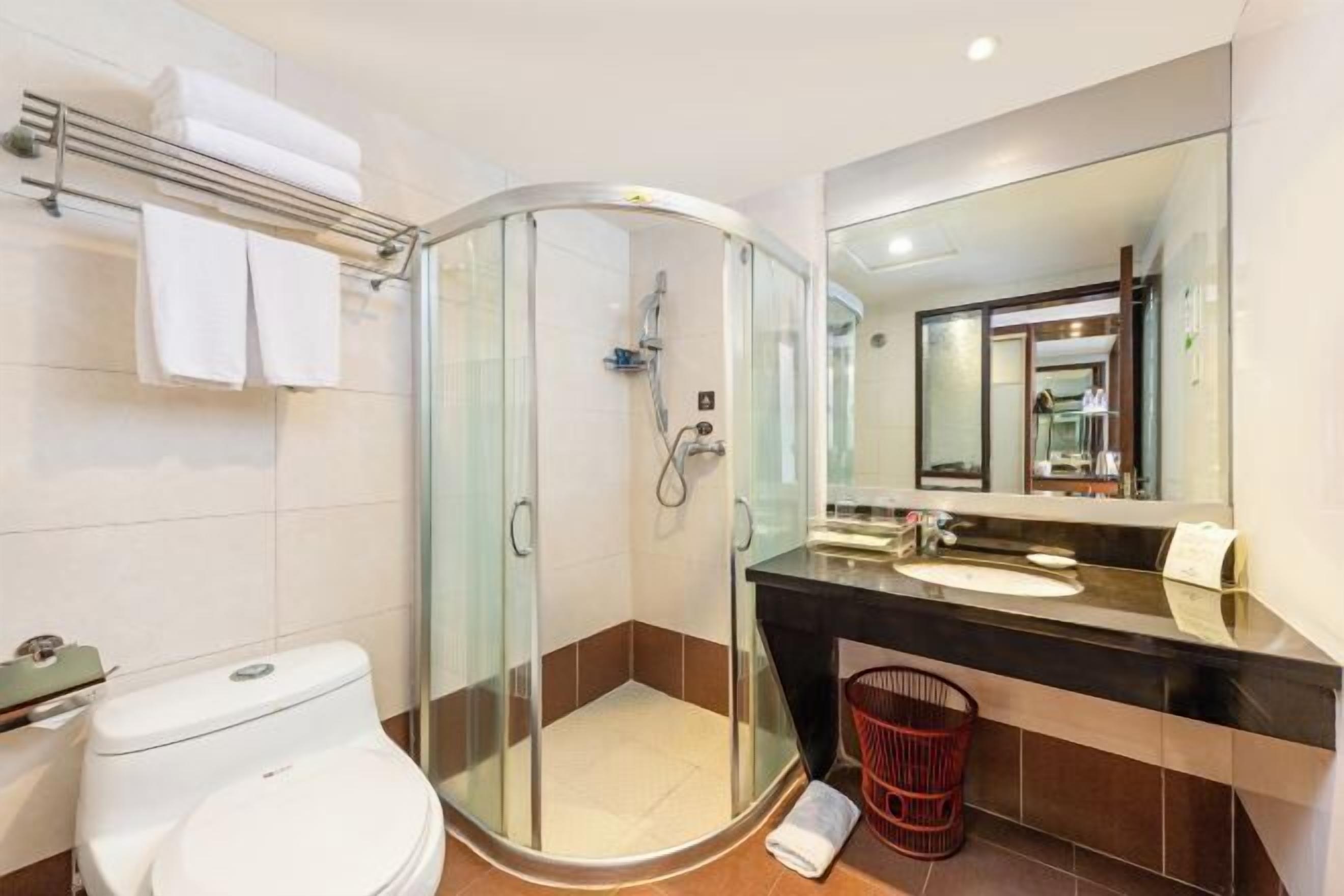 A modern bathroom with a glass-enclosed shower, a white toilet, a black sink, and a mirror above the sink.