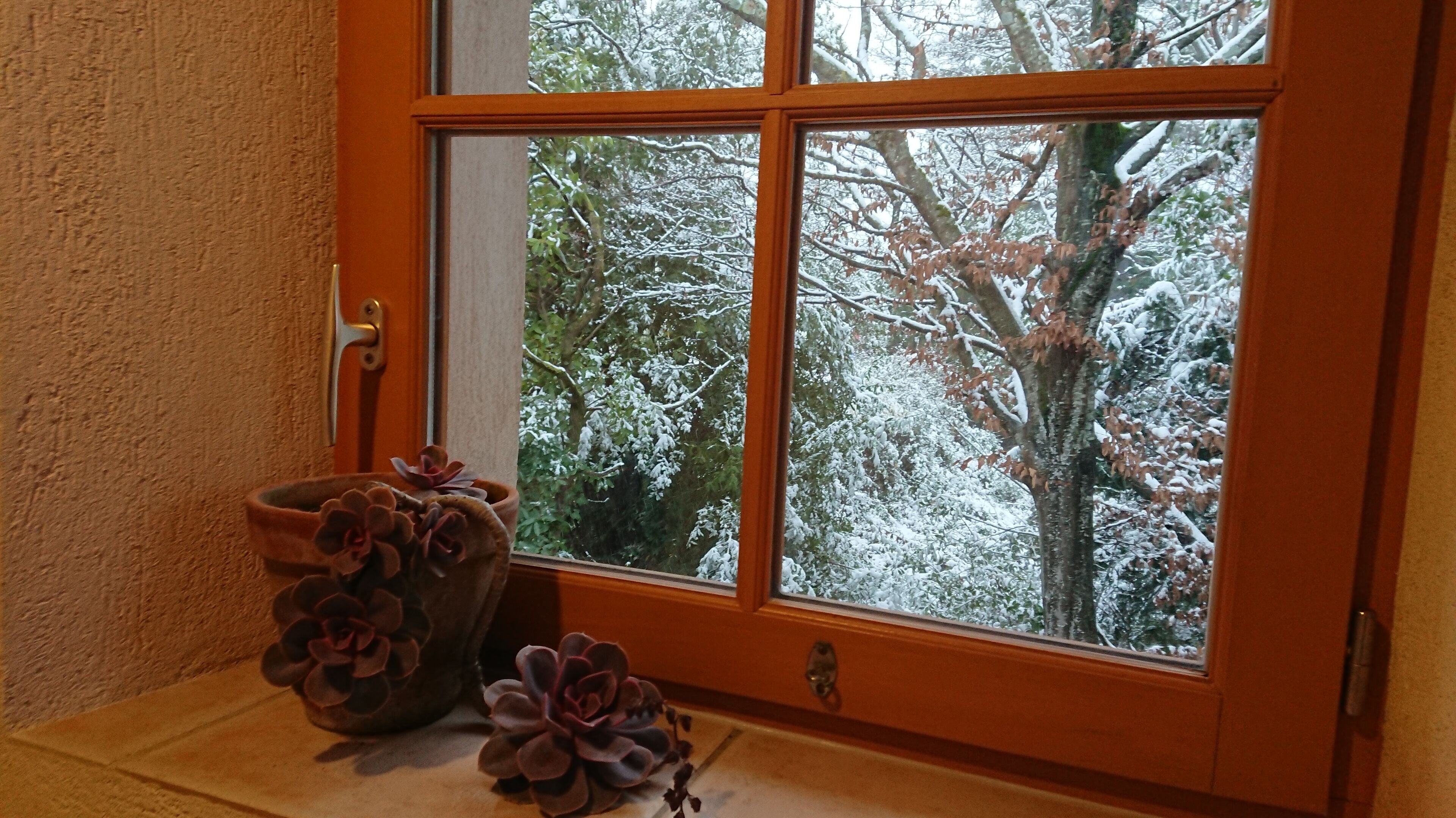 Chambre Triple | Bureau, rideaux occultants, chambres insonorisées