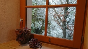 Una ventana con vistas a árboles cubiertos de nieve.