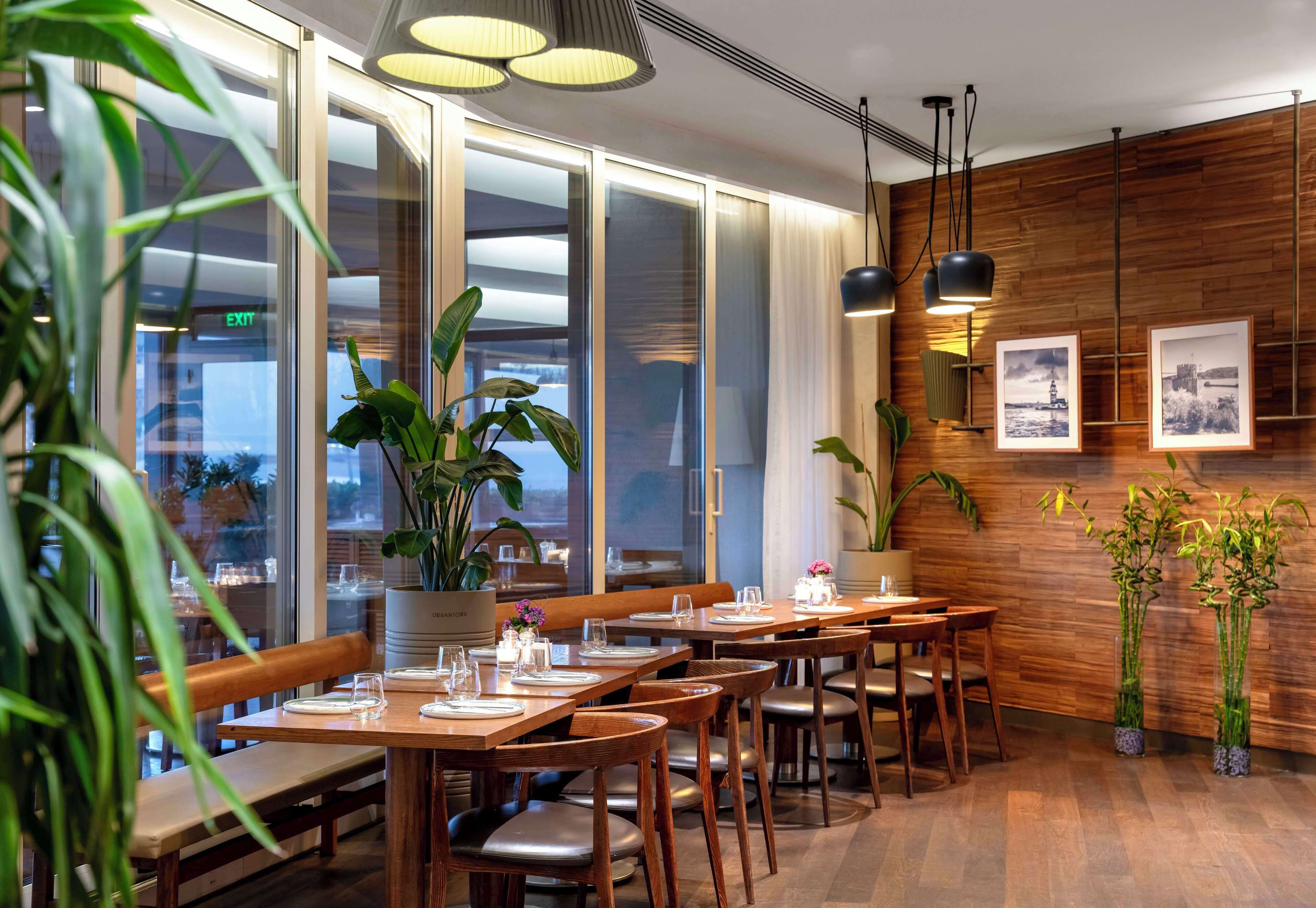 A modern dining area with wooden tables and chairs, large windows, and potted plants.