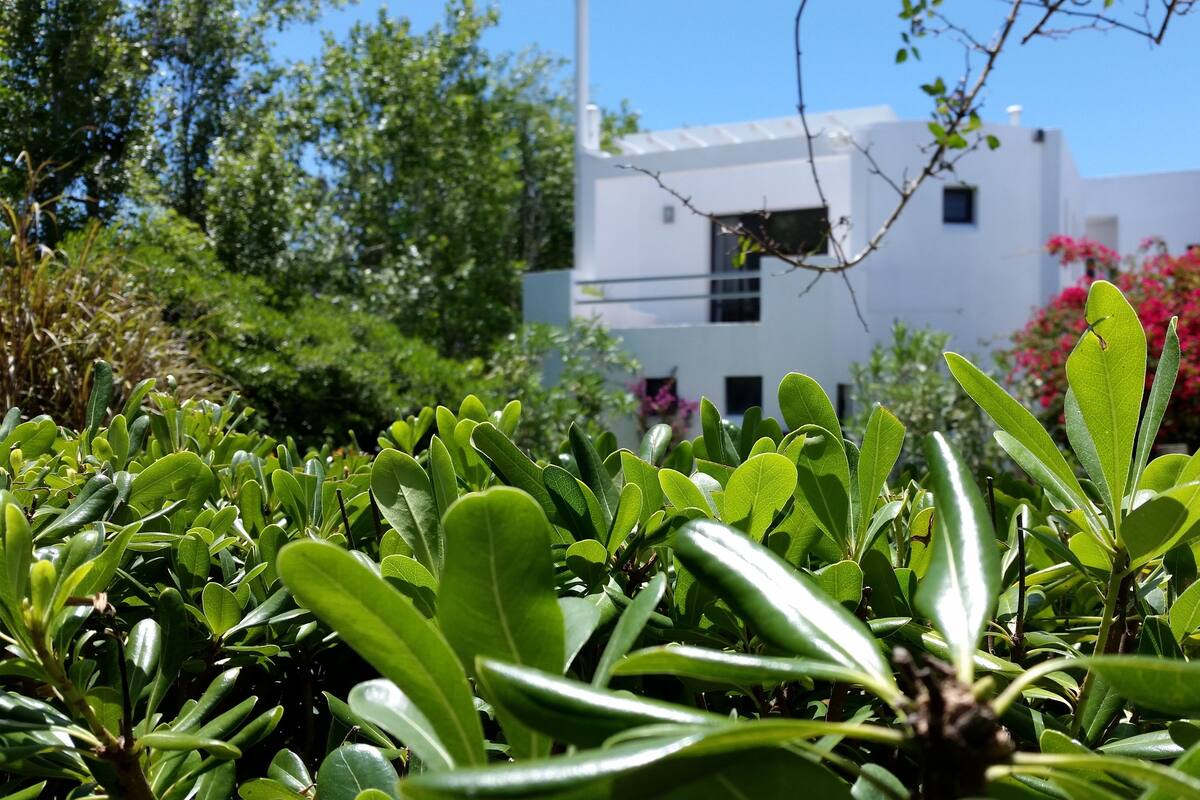 A modern building with a white facade and rectangular windows, surrounded by lush greenery and flowering plants.