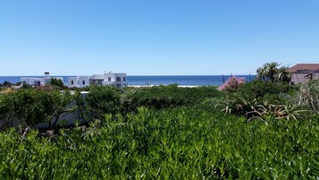 Vista costera con edificios blancos modernos, vegetación exuberante y cielo azul despejado.