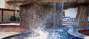 Golden Dolphin Supreme OFICIAL