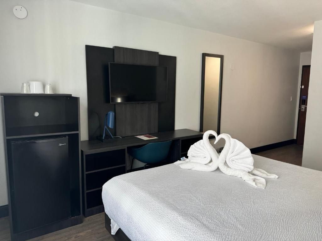 Foto - Motel 6 Hollywood