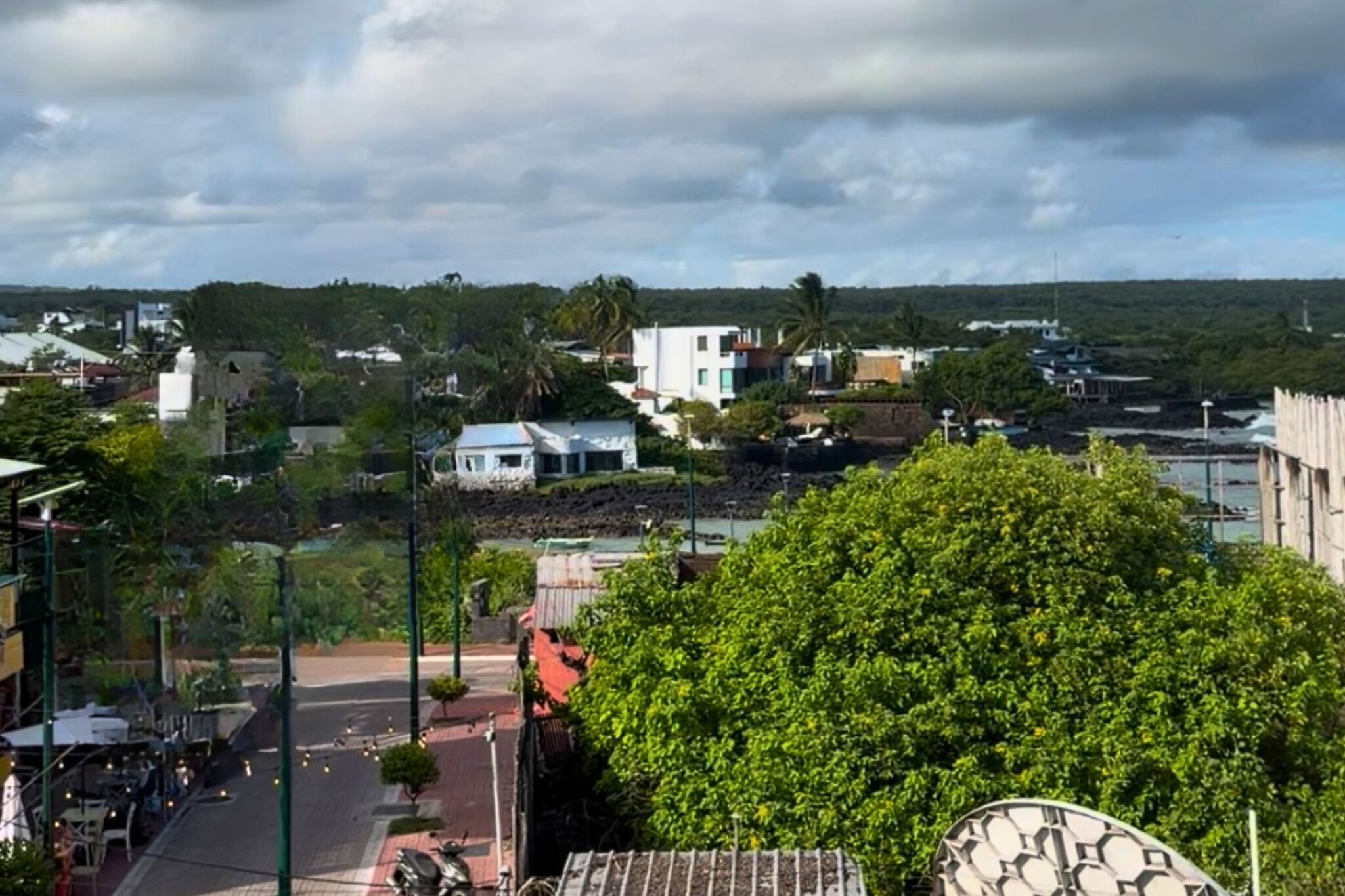 A residential area with houses, a road, and a large green tree in the foreground.