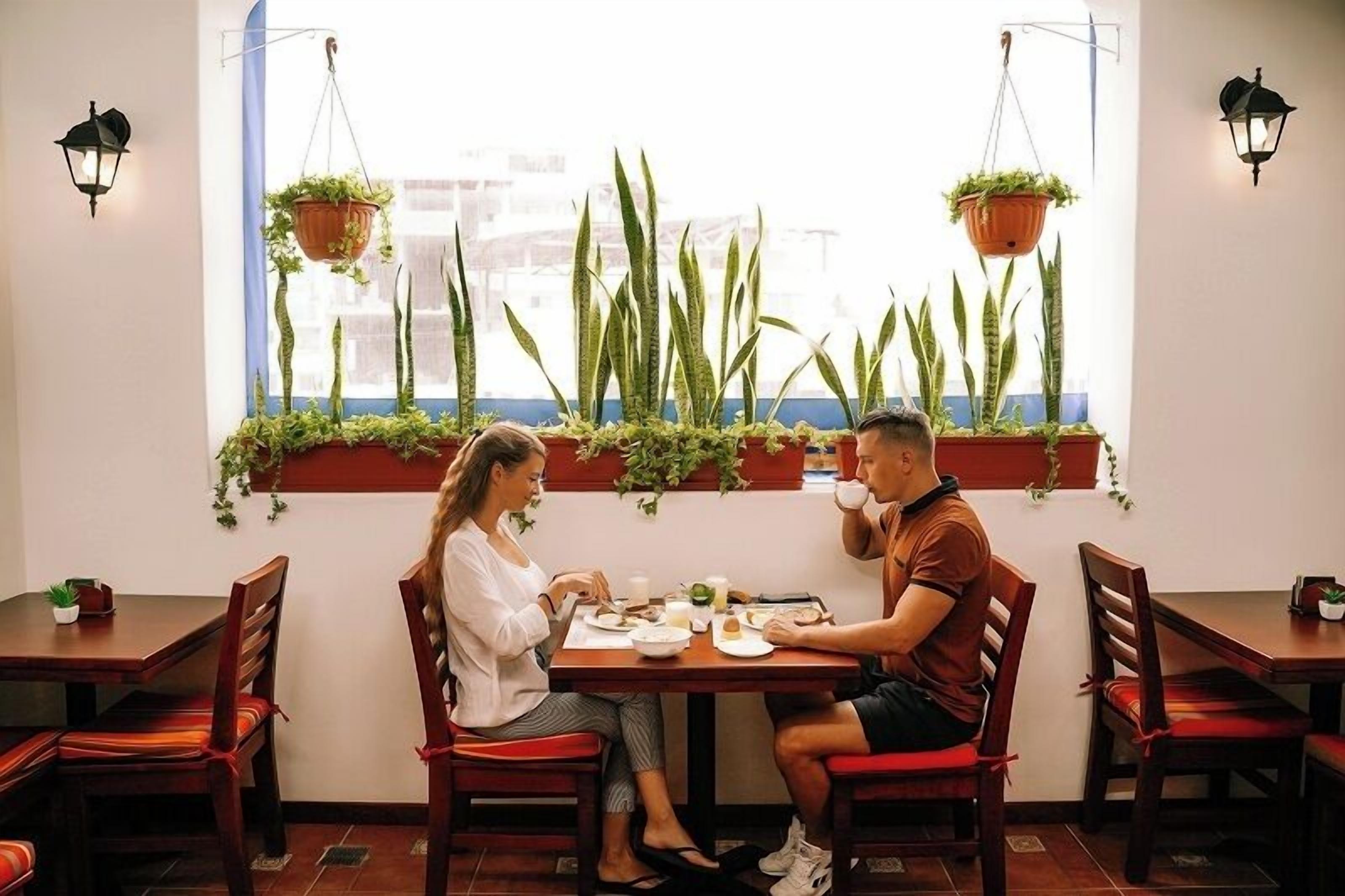 A dining area with a table set for two, surrounded by chairs, with hanging planters above and a window with plants below.