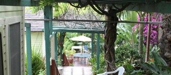 La Paloma Las Flores