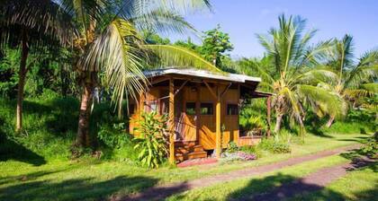 Kirpal Meditation and Ecological Center