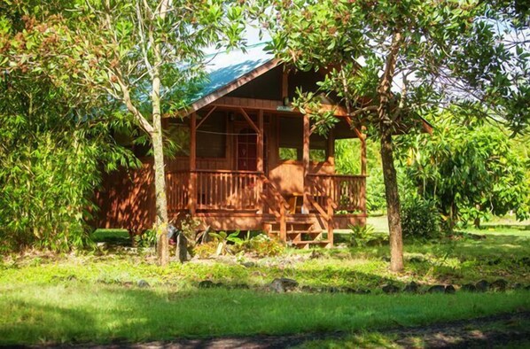 Hytte – standard (Rollinia) | Terrasse/patio