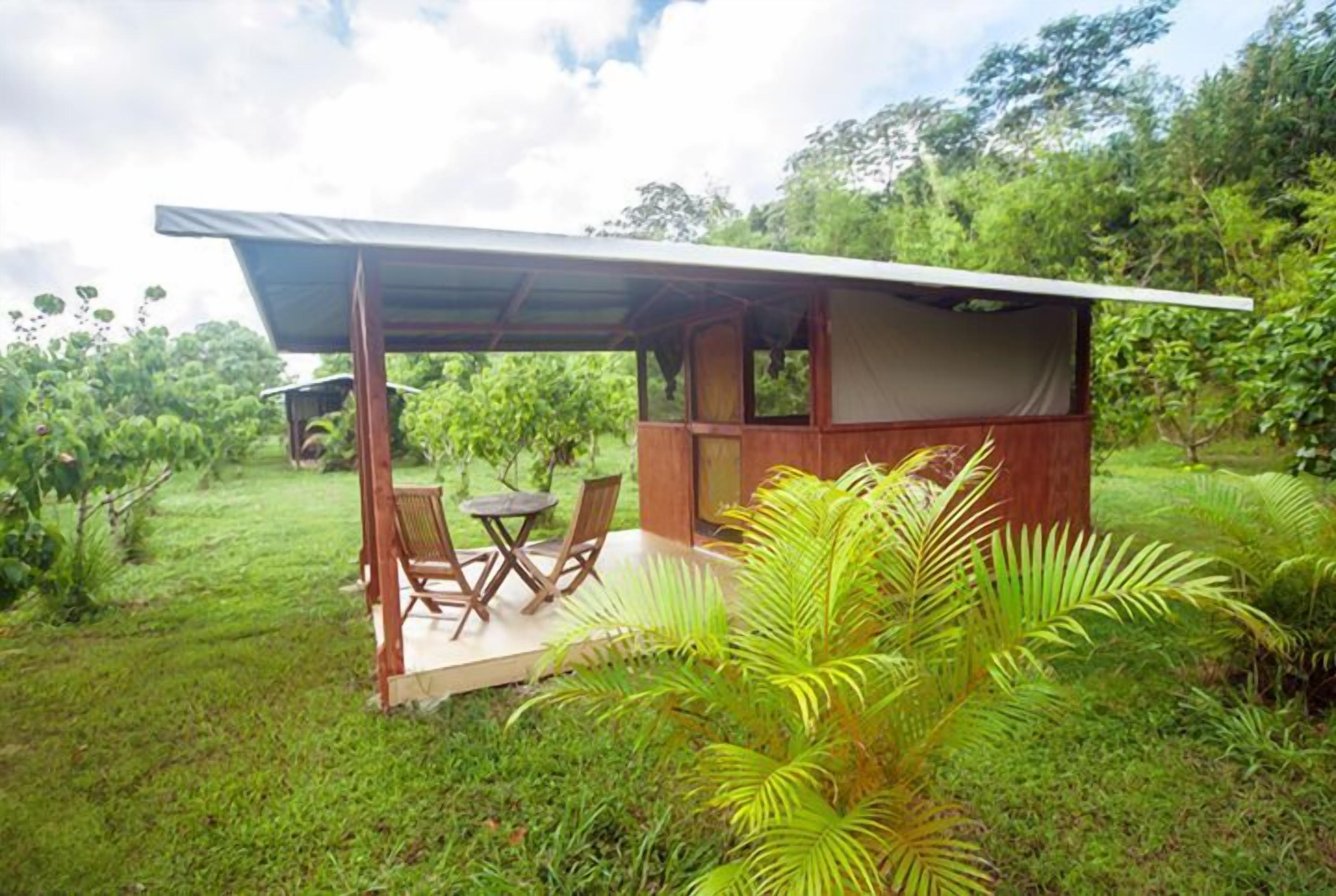 A covered outdoor seating area with wooden chairs and a table, surrounded by lush greenery.