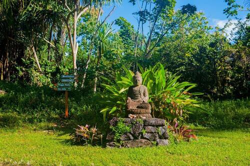 Jardin