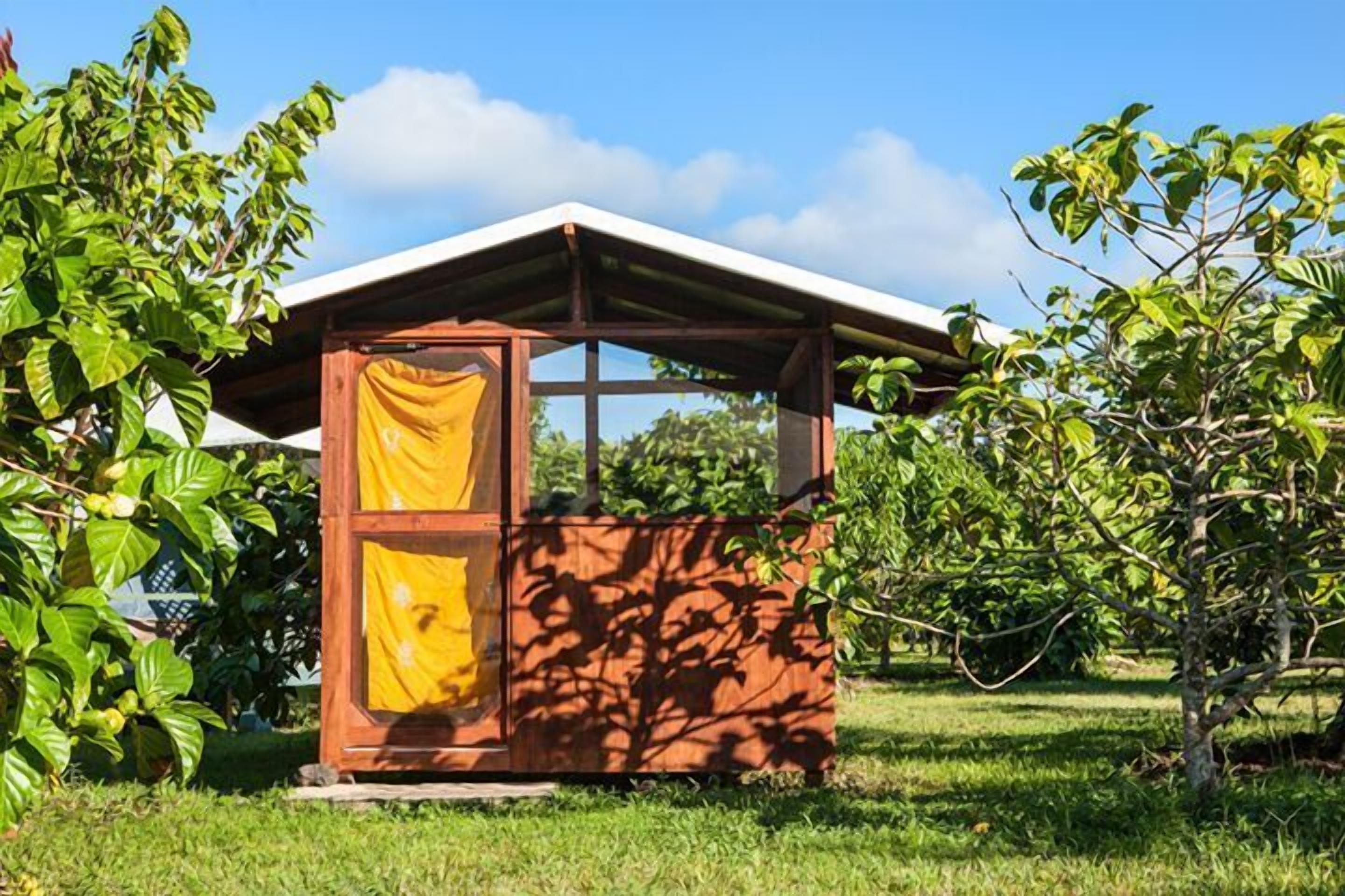 Une petite construction en bois, dotée d’un toit en pente et entourée d’une végétation luxuriante.