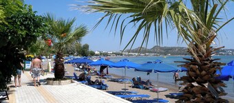 Iatridis Studios - Adults Only