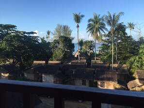 Vista del balcón