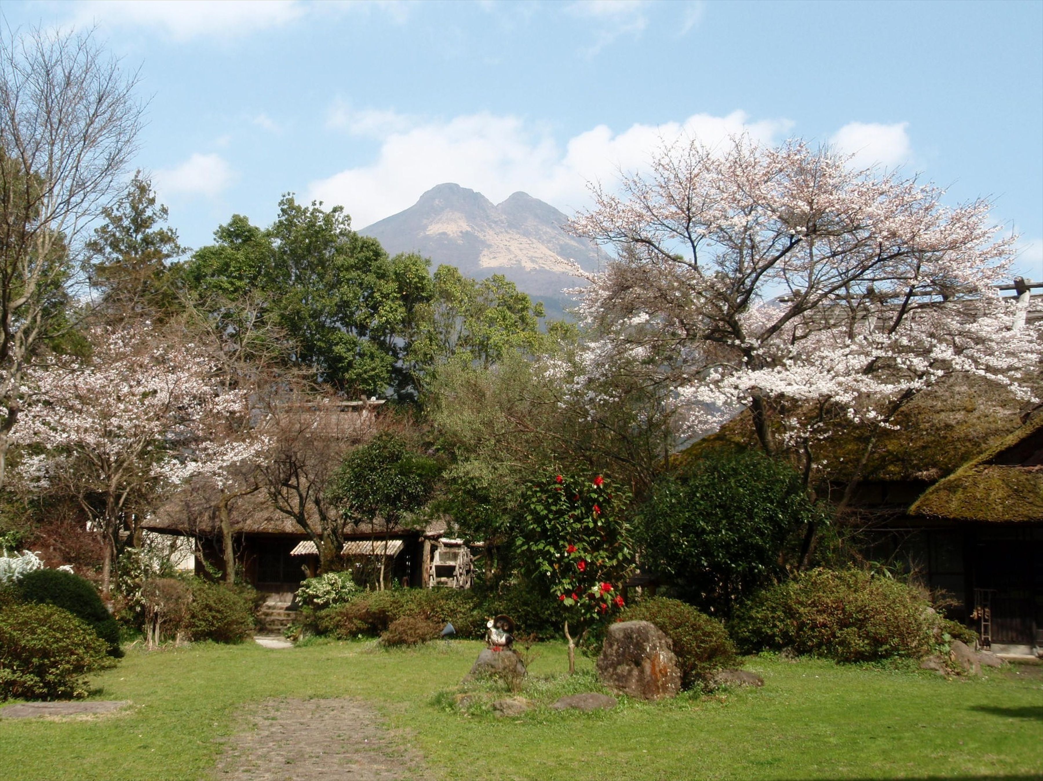 A traditional Japanese garden with cherry blossoms, a thatched-roof building, and a mountain in the background.